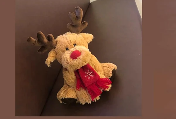 Underhåll av plyschleksaker